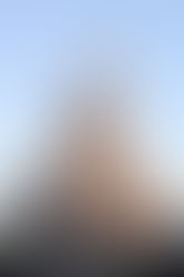 Wishdrawals Kids\' Blog Series: It Was All Started By a Mouse (Part 2)