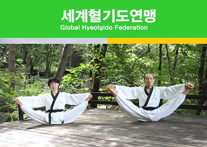 세계혈기도연맹