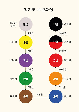 수련과정