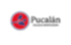 Logofundacion_edited.jpg