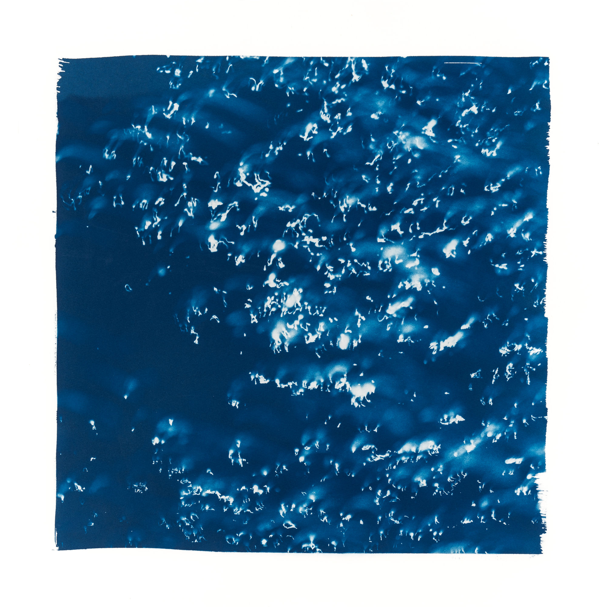 "Sur les ailes du vent 18" Cyanotype original