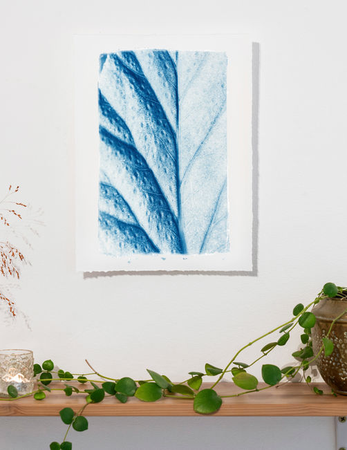 Cyanotype botanicals by Kyano Studio