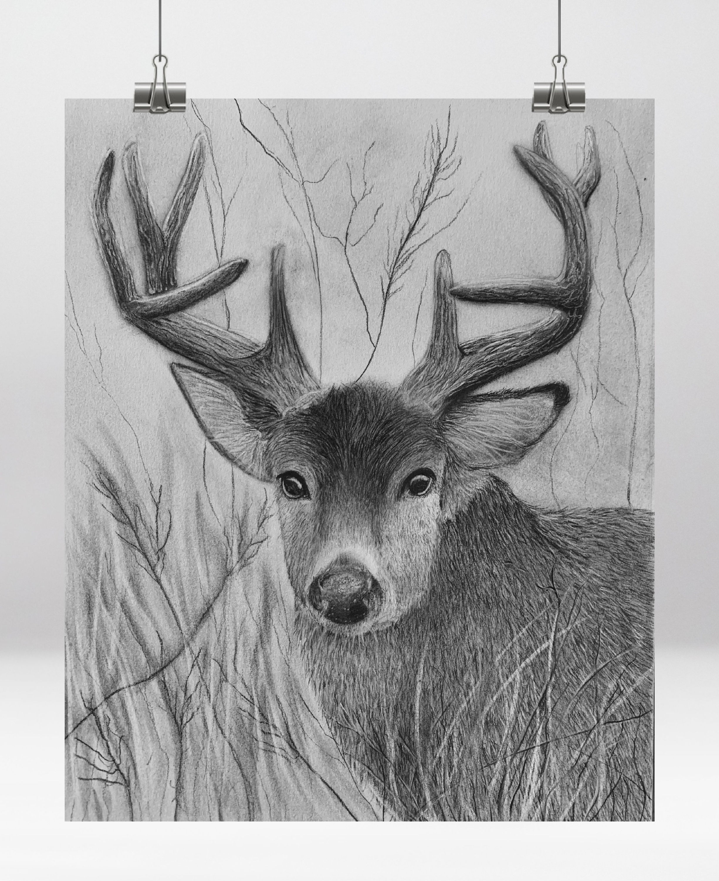 White-tail Buck Print
