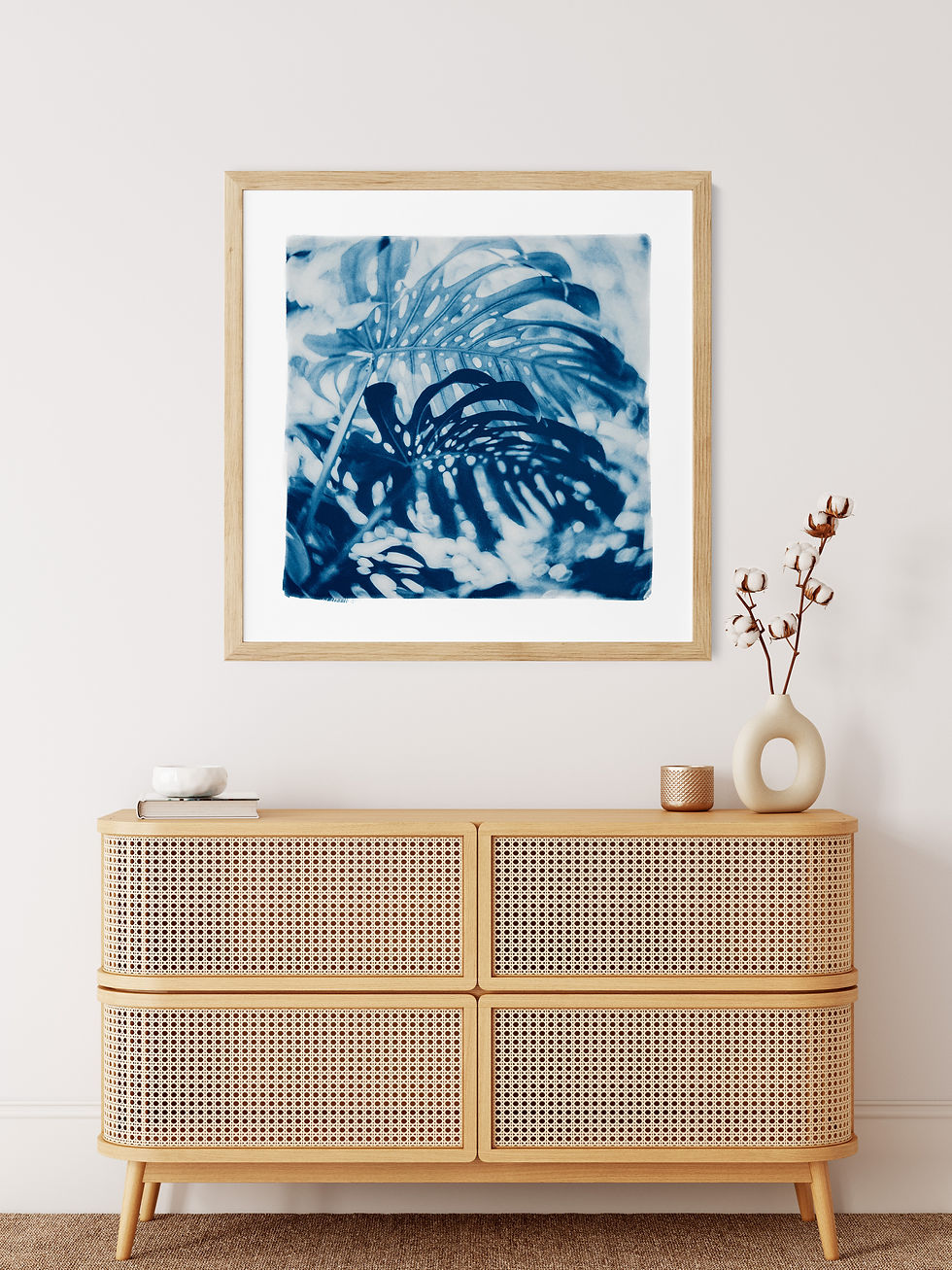 Miniature : monstera leaves cyanotype