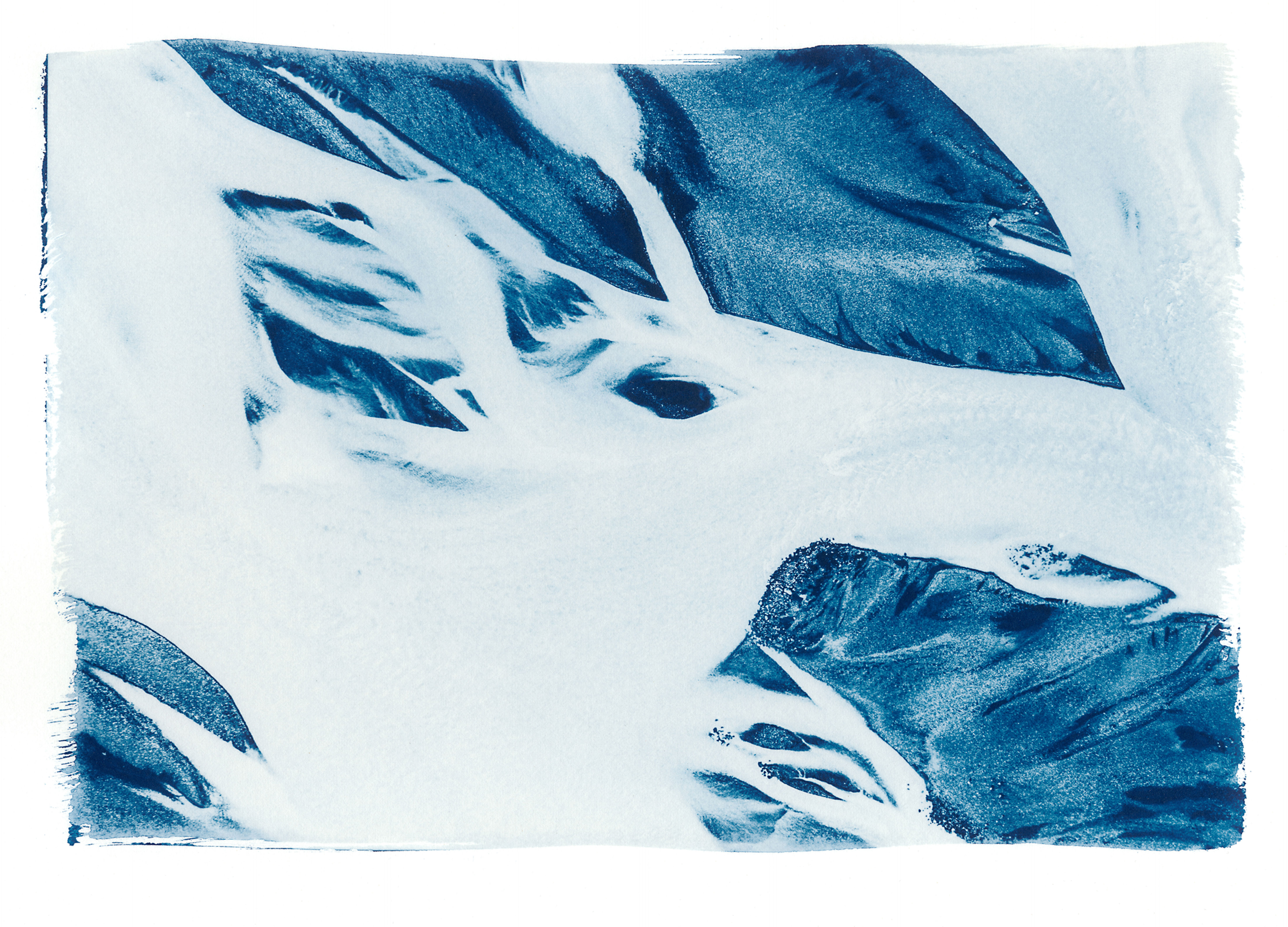 Résumé // 41 // Impression cyanotype originale