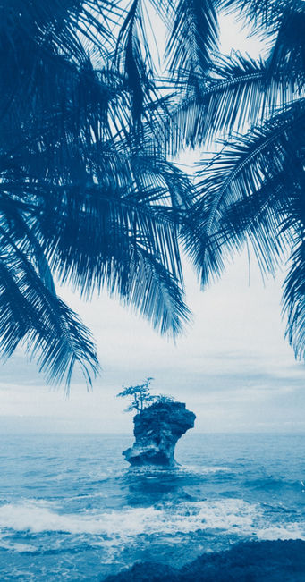 Cyanotype landscape by Kyano Studio