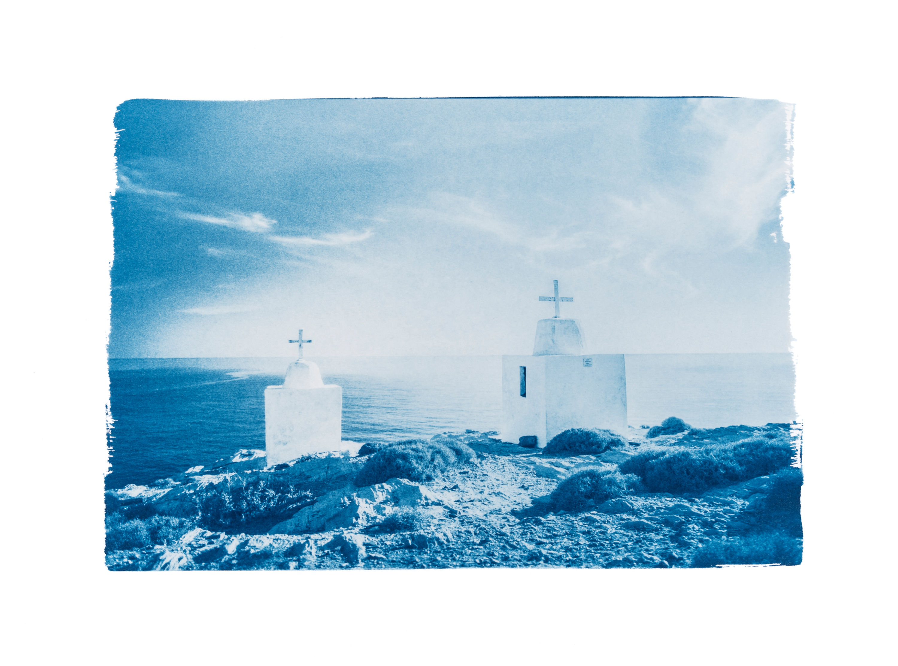 "Twins" Original Cyanotype