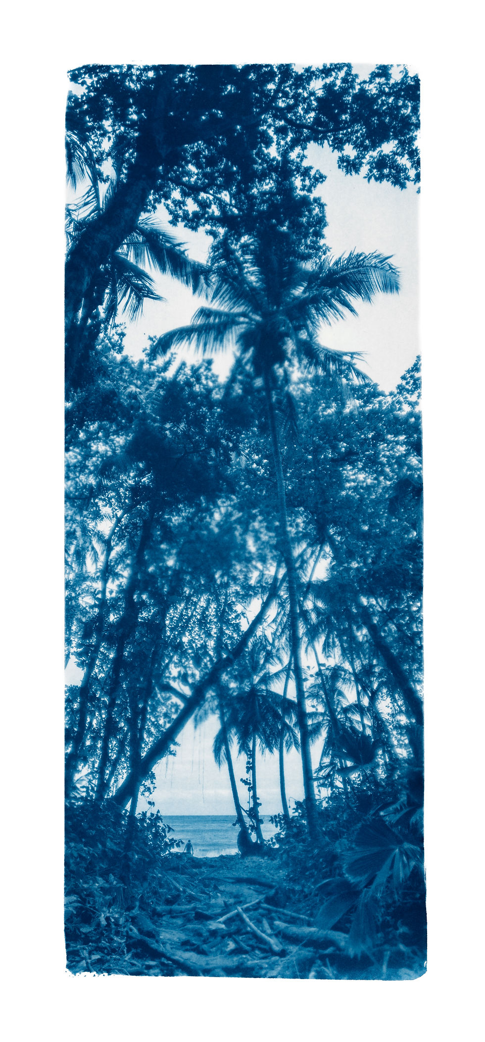 "Manzanillo Costa Rica" Original Cyanotype