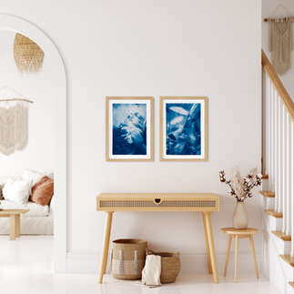 Botanical Cyanotype Photography by Kyano Studio