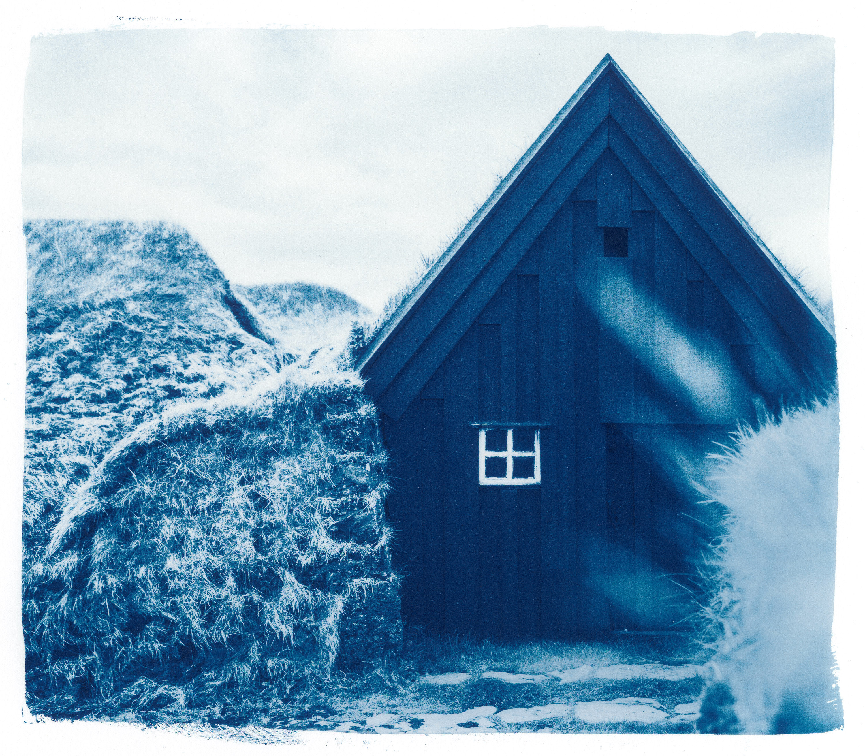 Keldur // 23 // Original Cyanotype Print