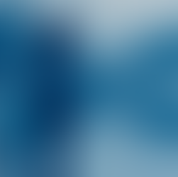 Cyanotype Photography by Kyano Studio