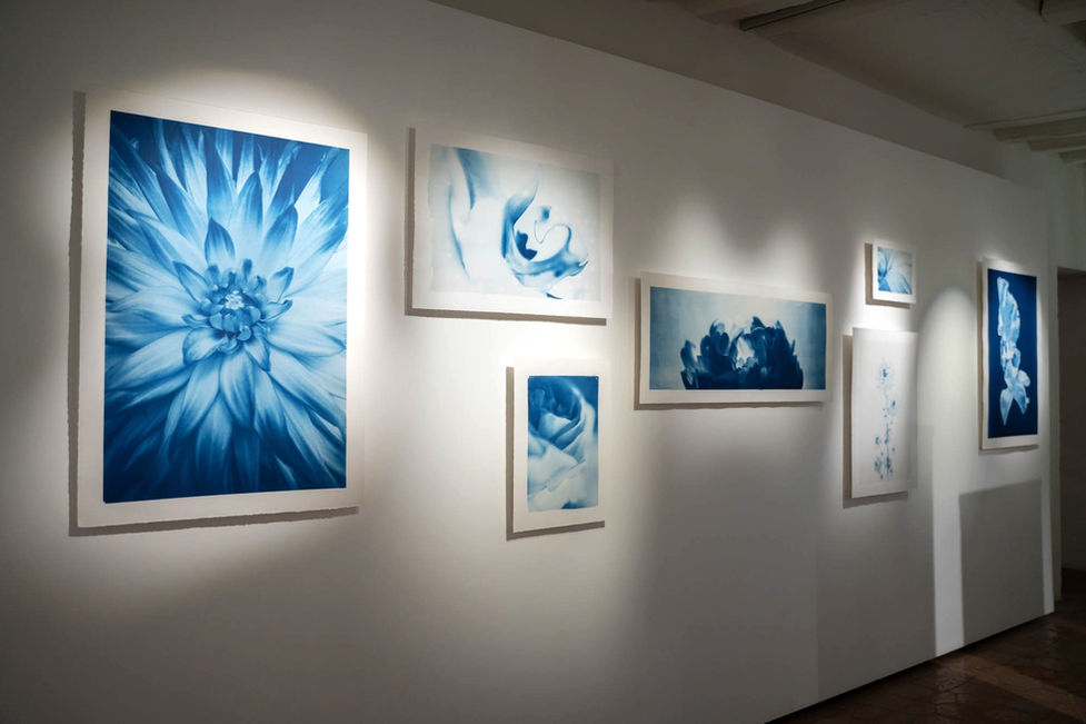 CYANOTYPE EXHIBITION BY KYANO STUDIO PARIS