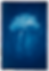 Elements cyanotype collection