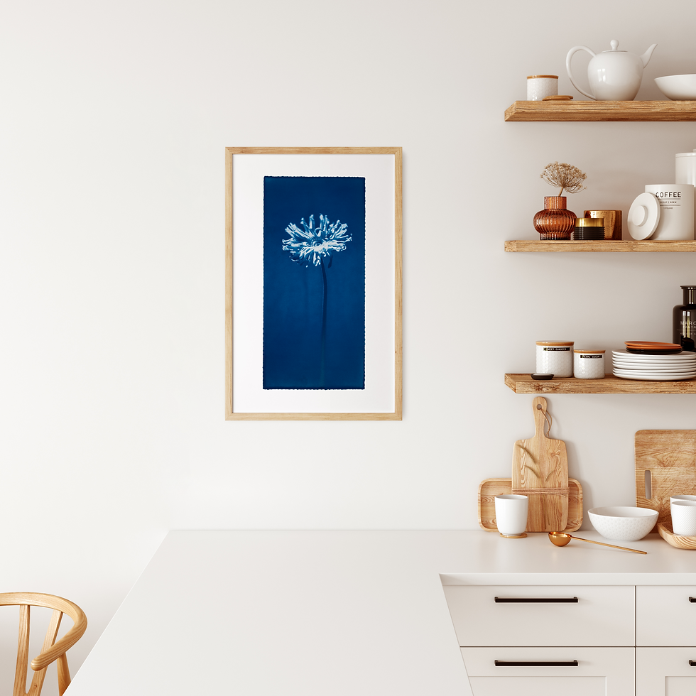 Thumbnail: Elements cyanotype collection