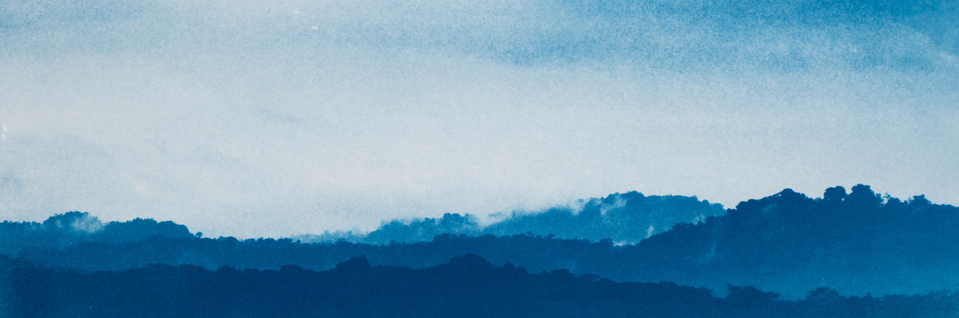 Cyanotype landscape by Kyano Studio