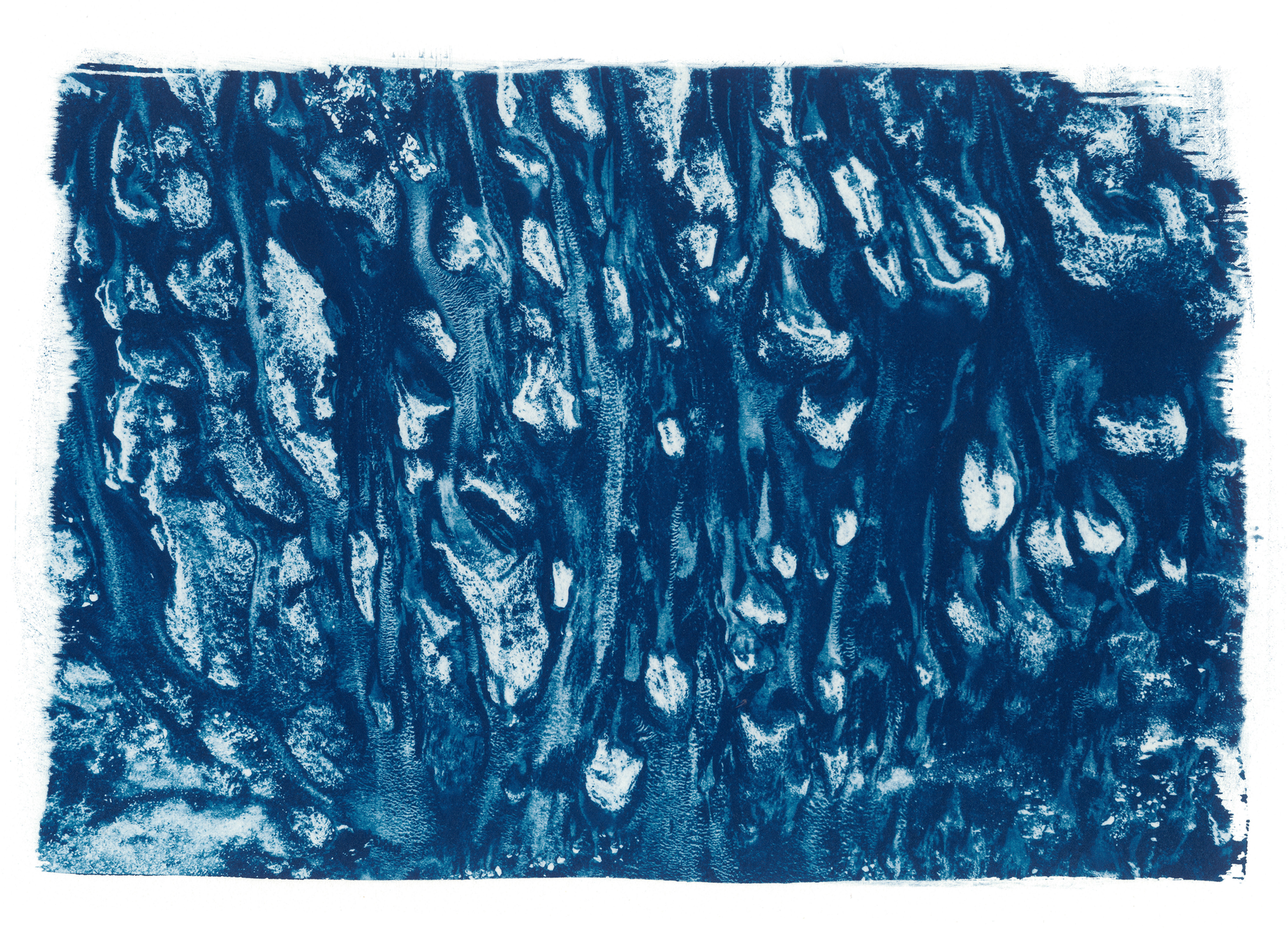Texture // 17 // Impression cyanotype originale