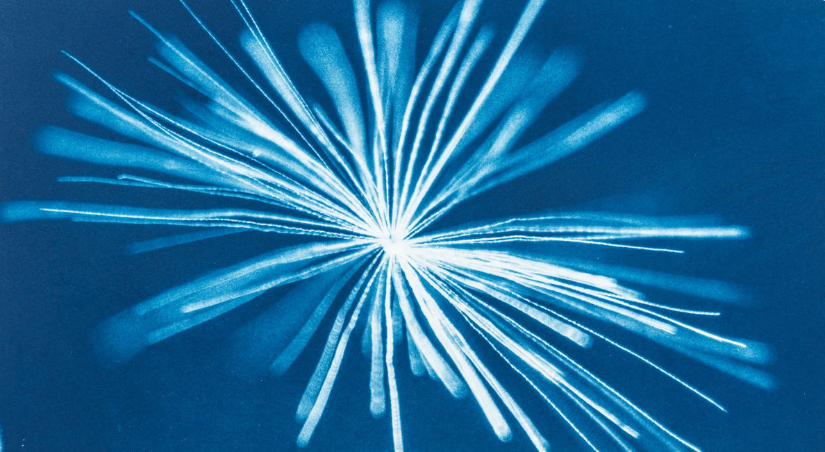 Cyanotype botanicals by Kyano Studio