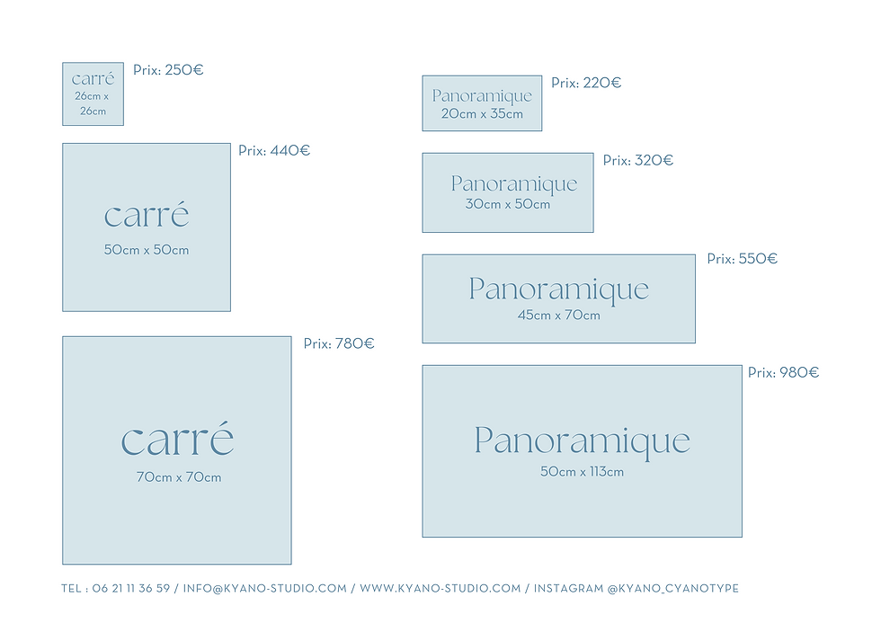 Miniature : Cyanotype original "Dans la jungle"