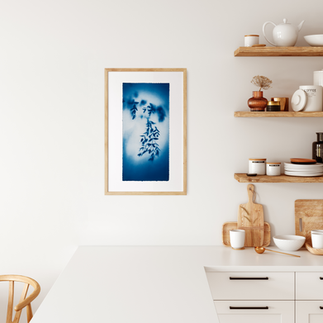 Botanical Cyanotype Photography by Kyano Studio