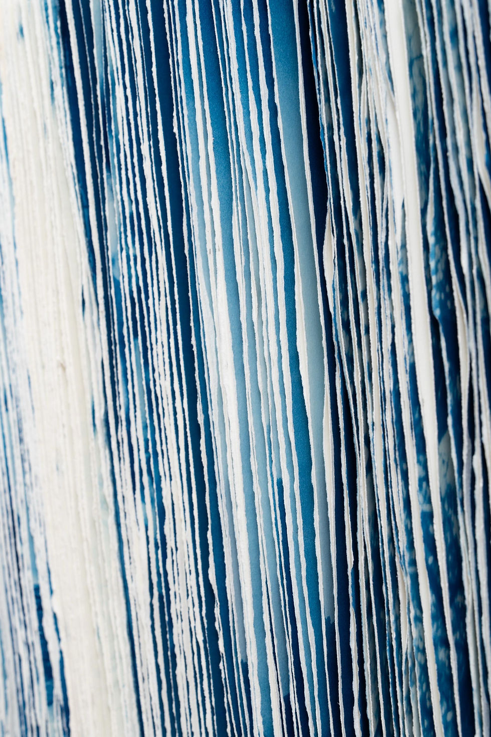Cyanotype, mixed media, sculptural artwork by Kyano Studio, Paris