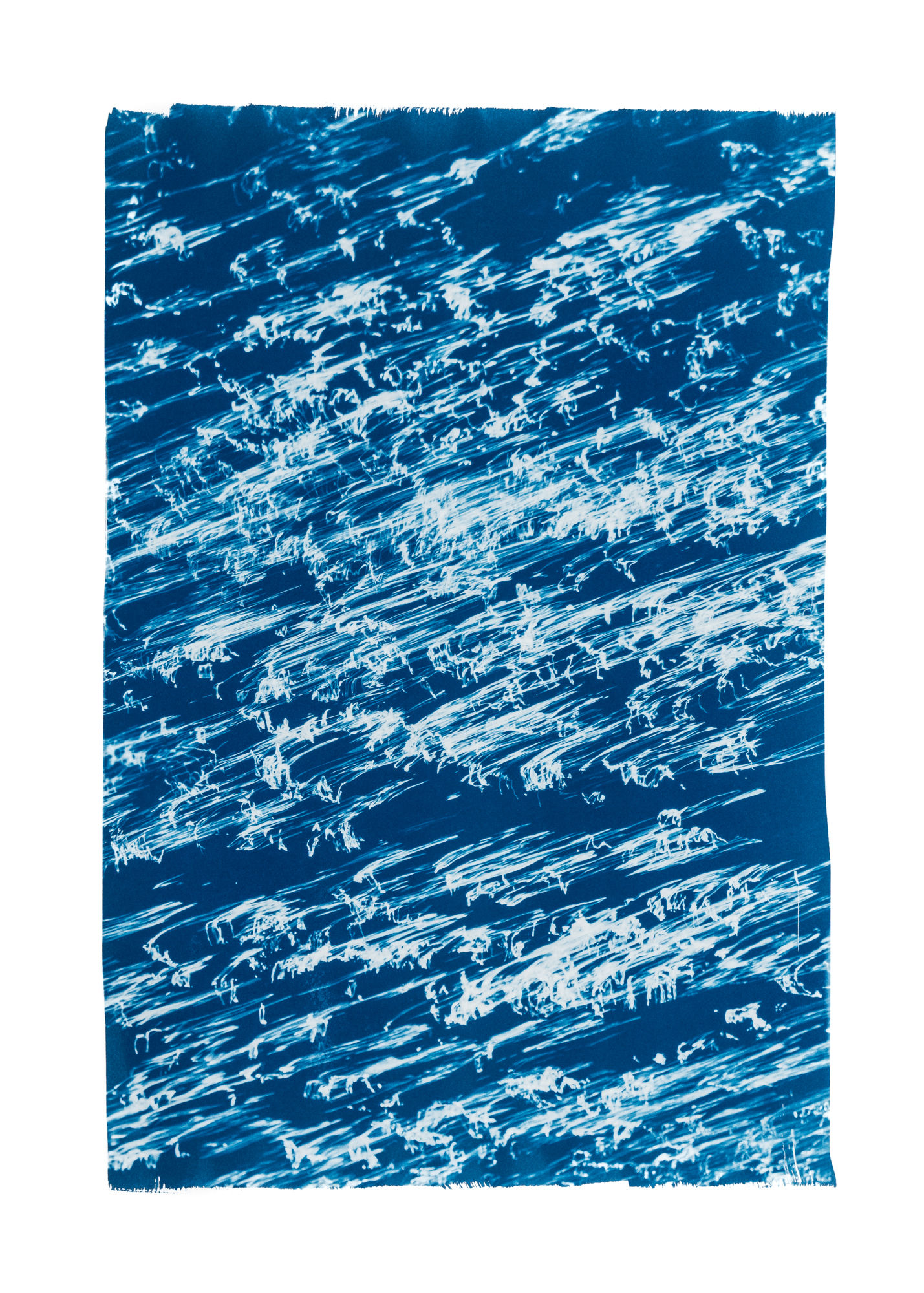 "Sur les ailes du vent 10" Cyanotype original