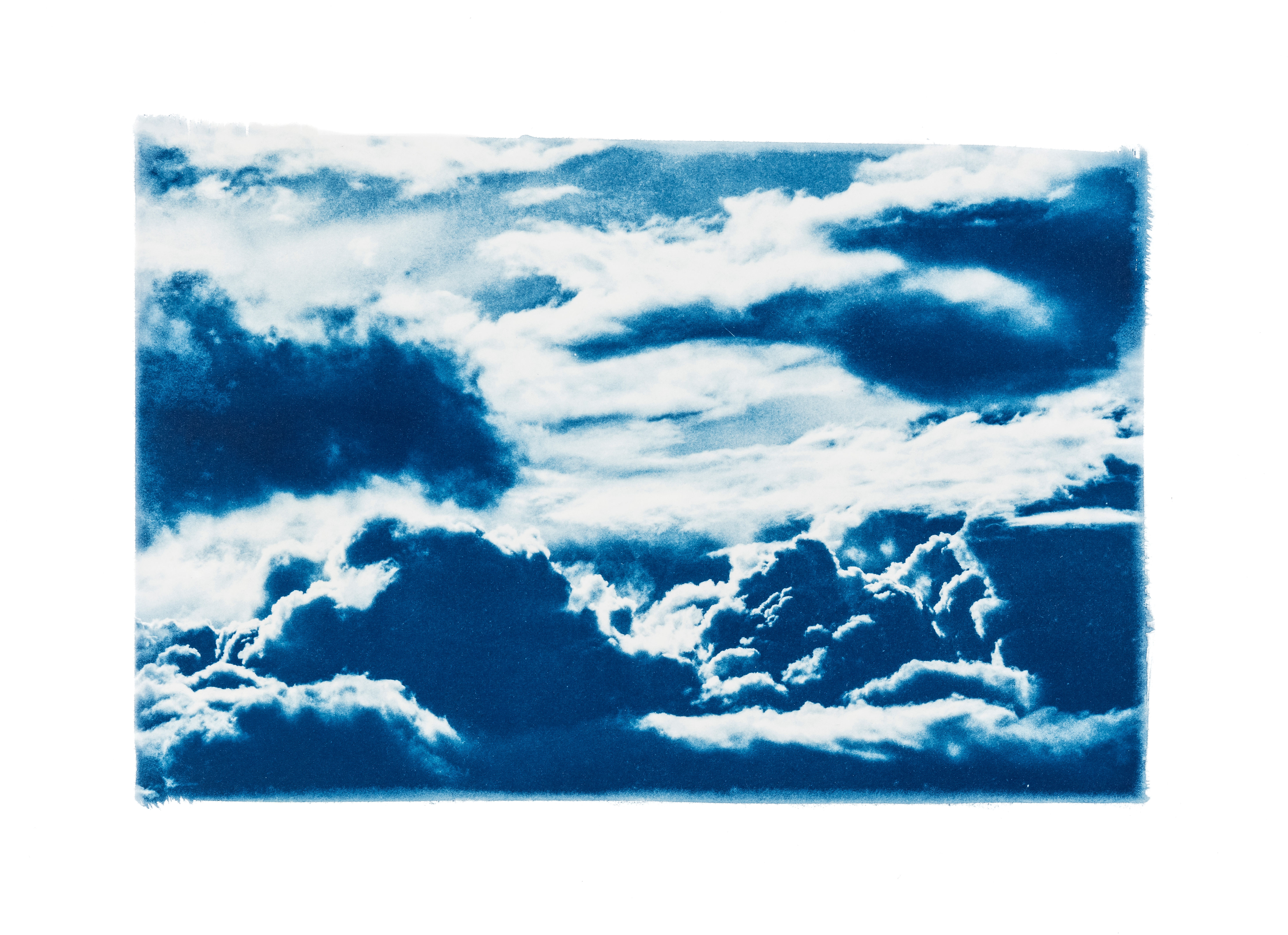 Rêveries Nomades // 25 // Original Cyanotype