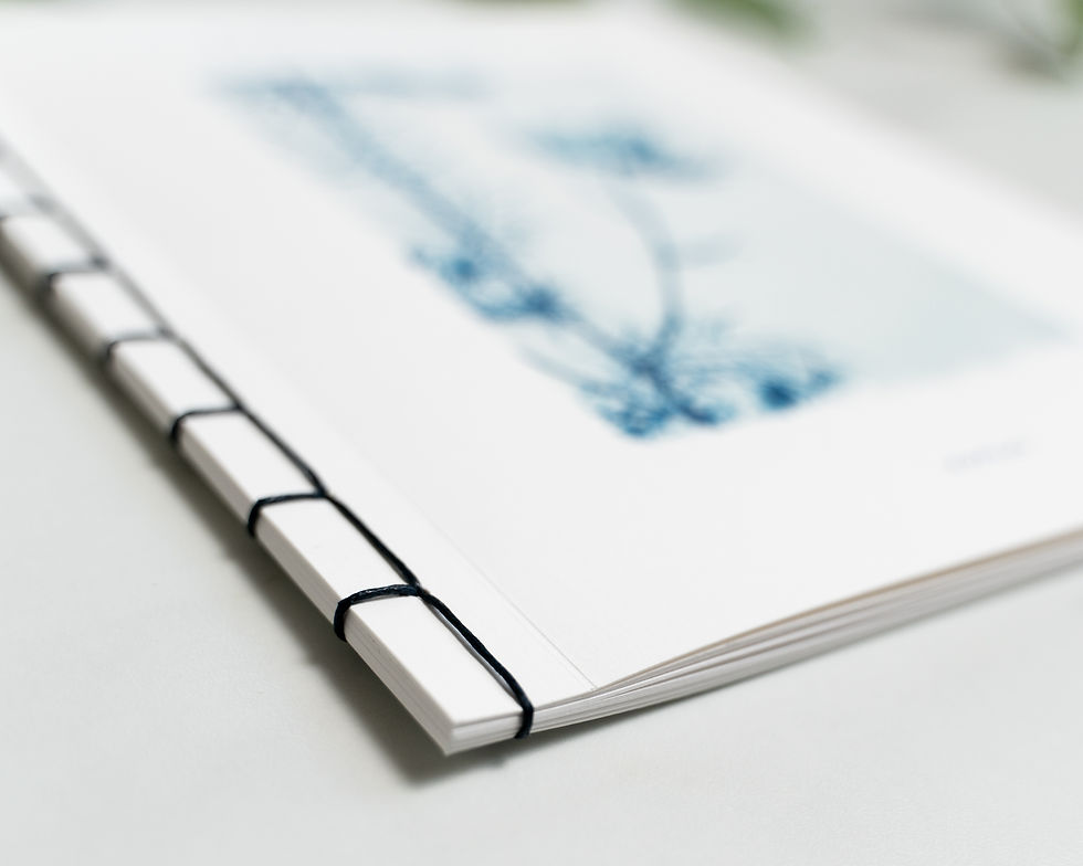 Thumbnail: Botanical Cyanotype photography book, Kyano Studio, Paris