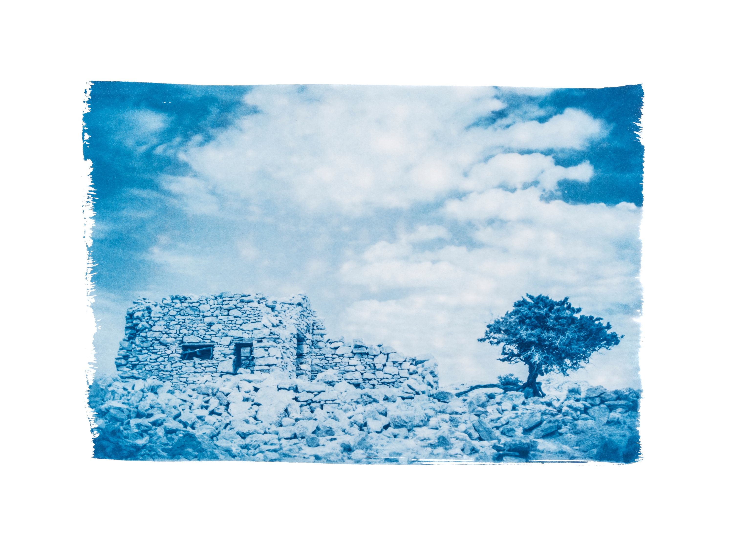 " What's left " Original Cyanotype