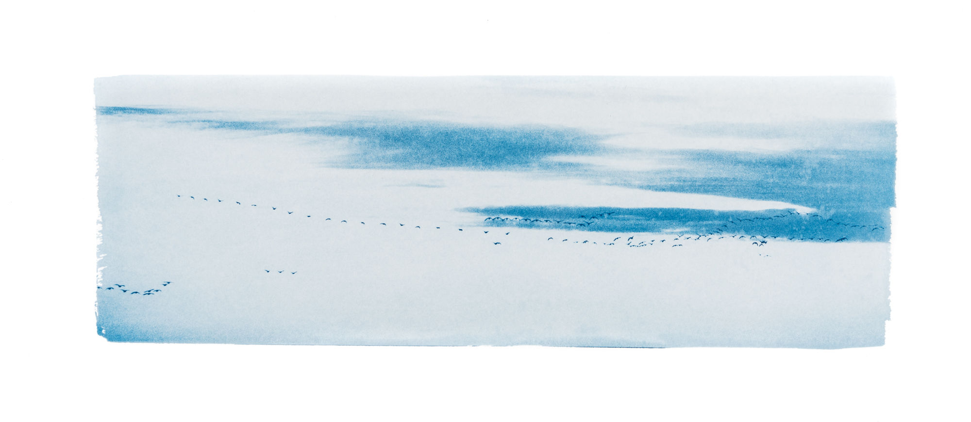 "Sur les ailes du vent 26" Original Cyanotype