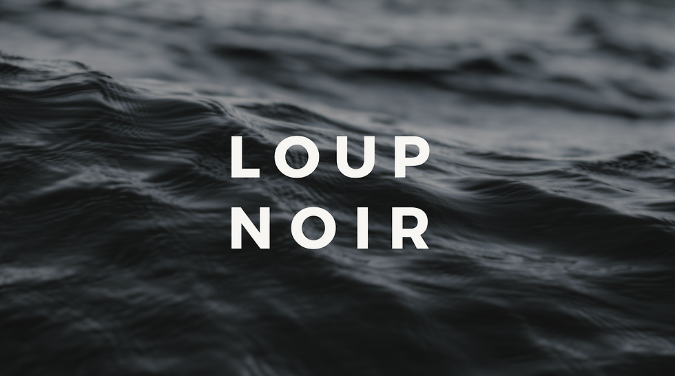 Création de logo pour un studio de production vidéo