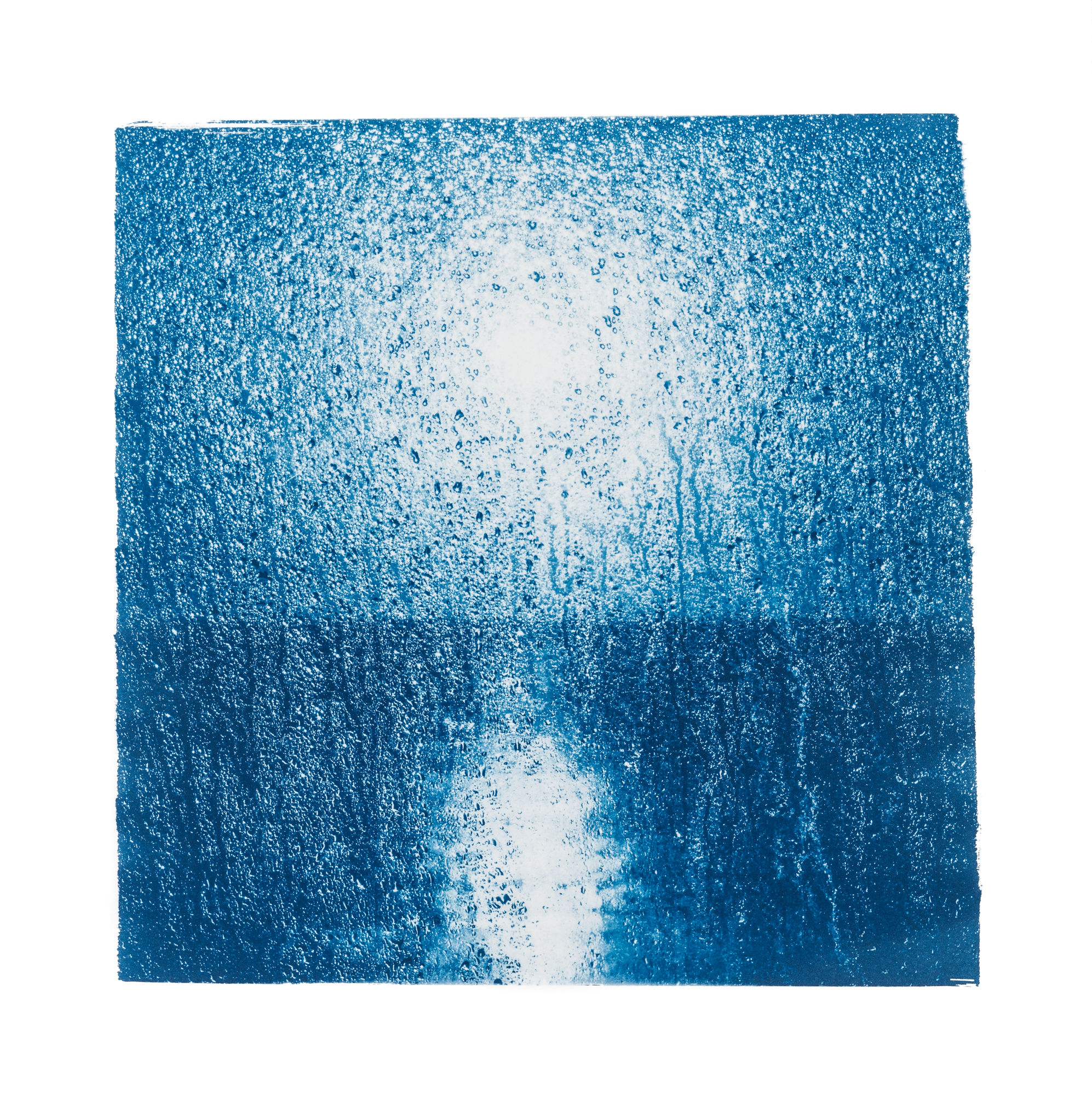 "Sur les ailes du vent 22" Cyanotype original