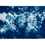 Thumbnail: Canopy cyanotype