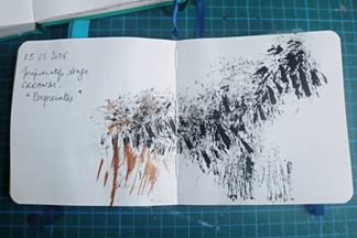 carnets d'artiste