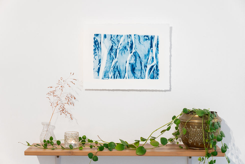 Thumbnail: Black Field // 20 // Original Cyanotype Print