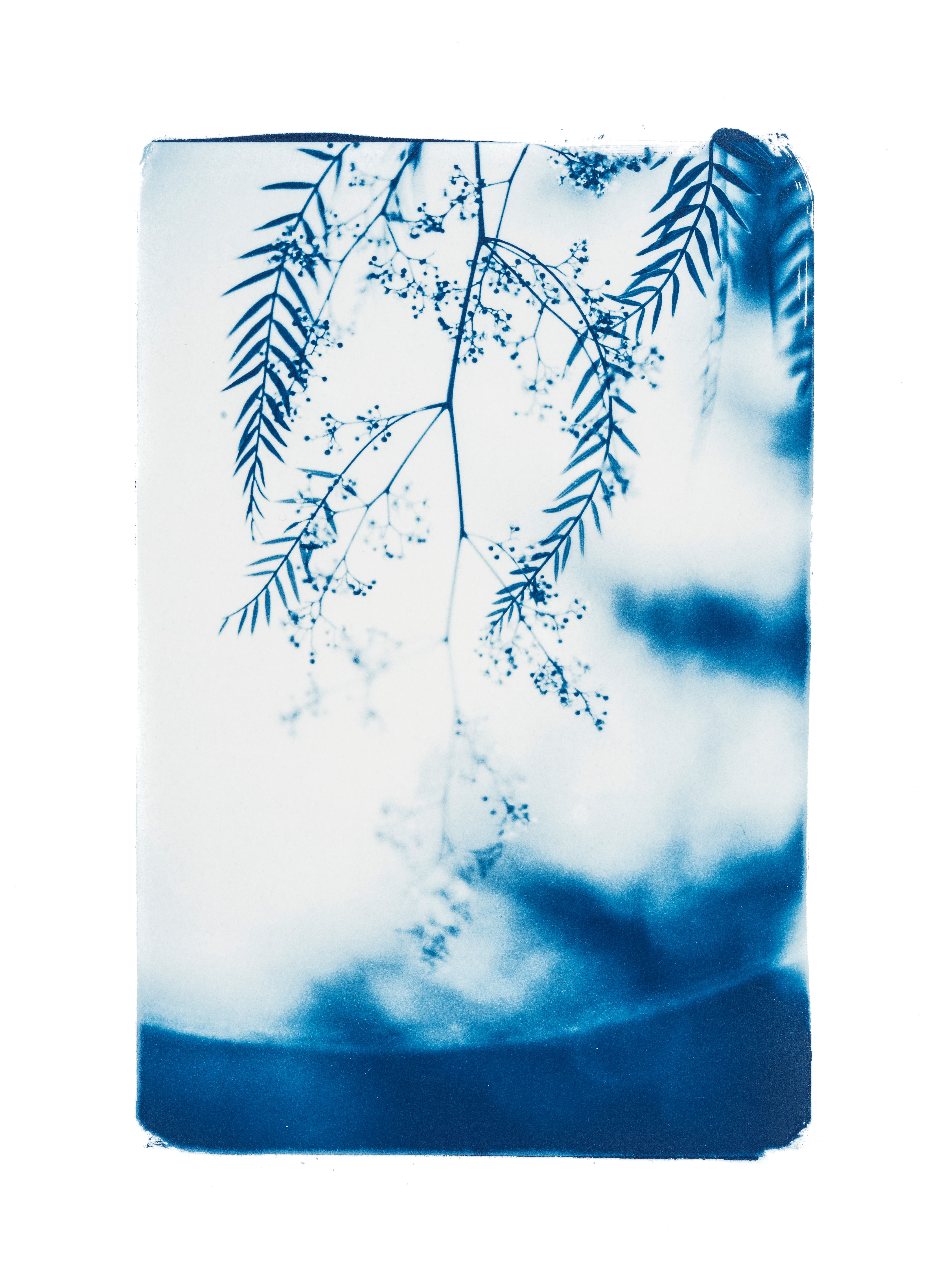 Rêveries Nomades // 2 // Original Cyanotype