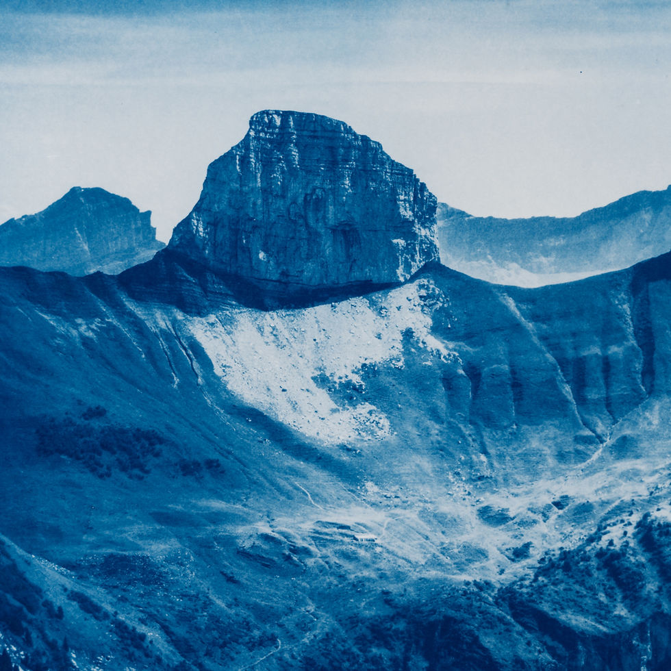 Thumbnail: Elements cyanotype collection