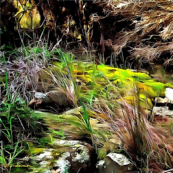 Welcocome To My Fairy Garden, Art, Canvas Prints, Abstract Art, Wall Art, Paintings