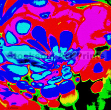 Art, Canvas Prints, Abstract Art, Wall Art, Paintings