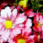 Daisy 3, Art, Canvas Prints, Abstract Art, Wall Art, Paintings