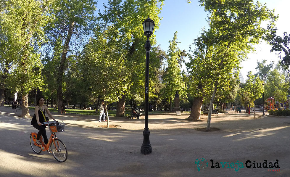 Forestal Park