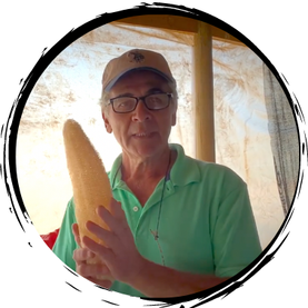 Luffa: Esponja vegetal