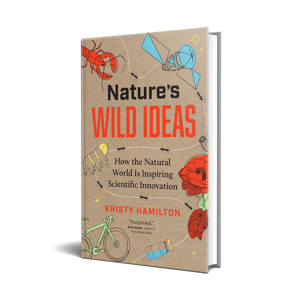 NaturesWildIdeas-Cover-3D.webp