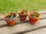 Sonnenblumen