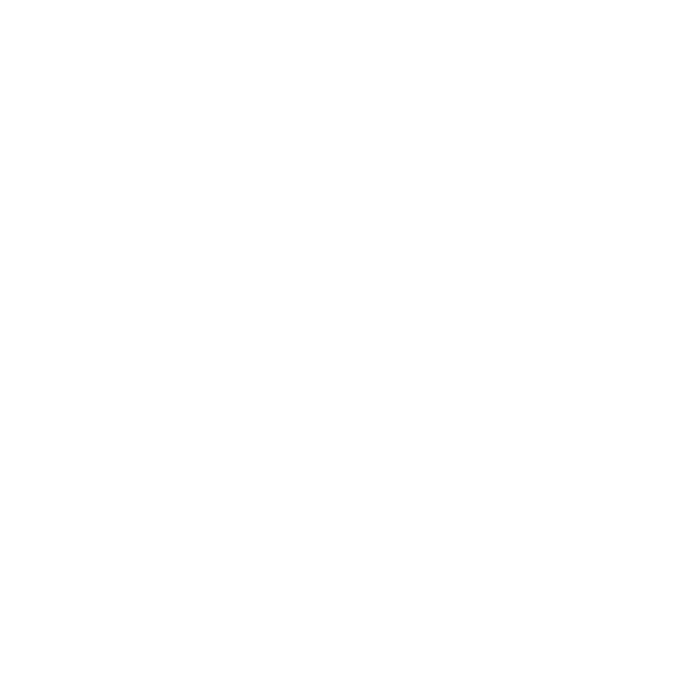 Dan_Logo_White.png