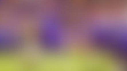 Imagine what Graham Mertz can do if he has time to throw the ball