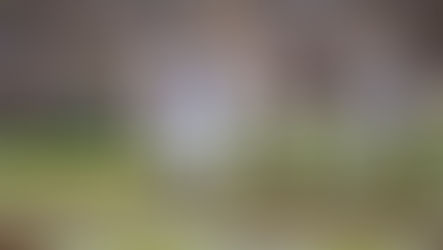 How Billy Napier Is Doing In The Talent Acquisition Business