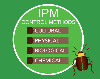 Want To Send The Ants Marching?