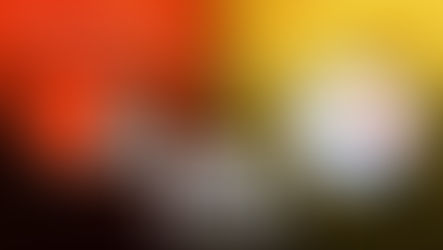 Cleveland Browns vs Pittsburgh Steelers Prediction NFL Picks 12/8/24