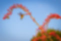 shutterstock_520466281.jpg