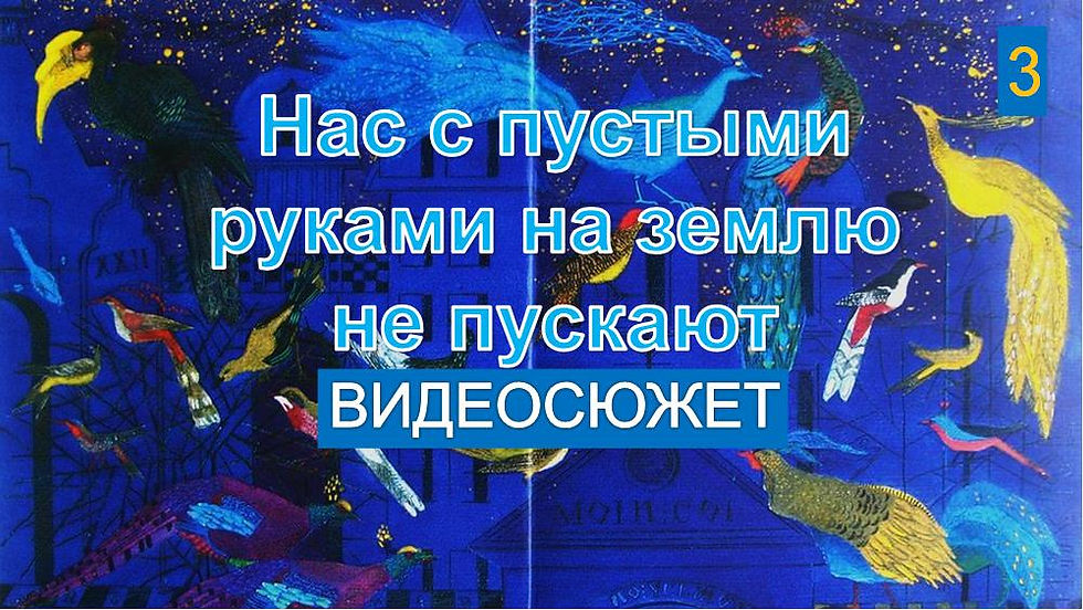 ВИДЕОСЮЖЕТ